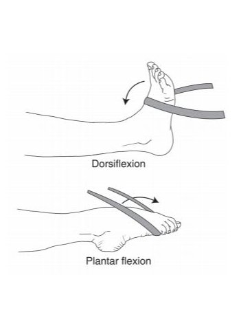 Ankle Band Exercise
