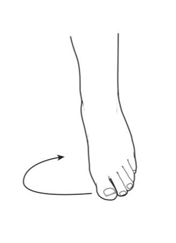 Ankle Range of Motion