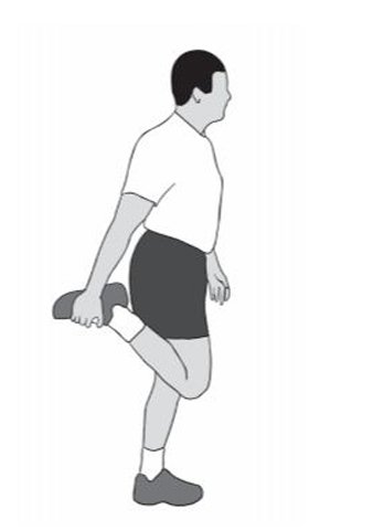 Standing quadriceps stretch