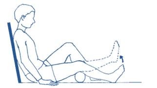Static quadriceps exercise